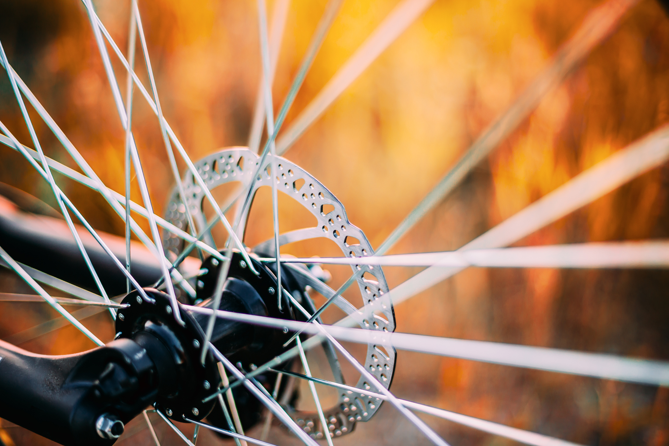 Close Up Bicycle Wheel. Spokes